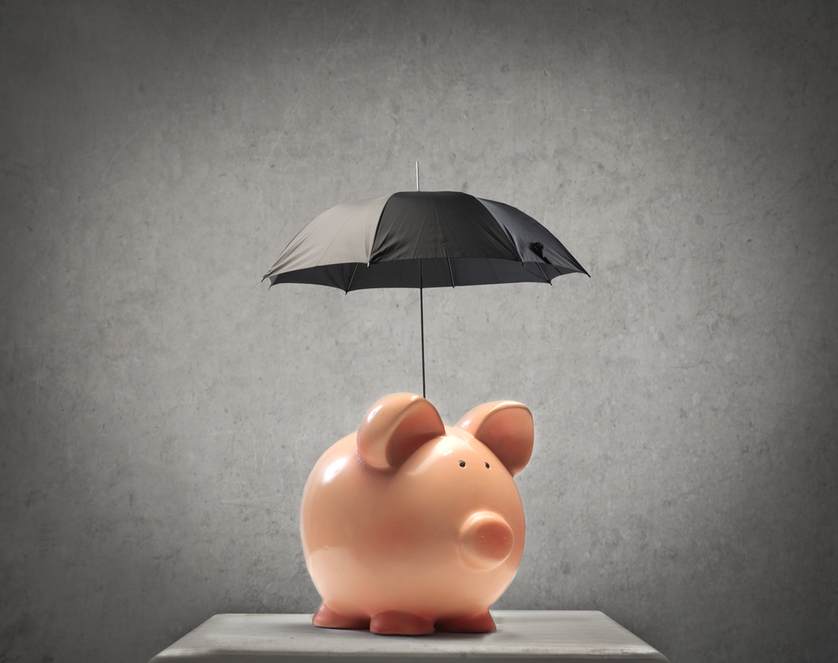 Insurance Policy—Investment or Safety