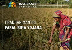 Pradhan Mantri Fasal Bima Yojana: How to Apply? thumbnail