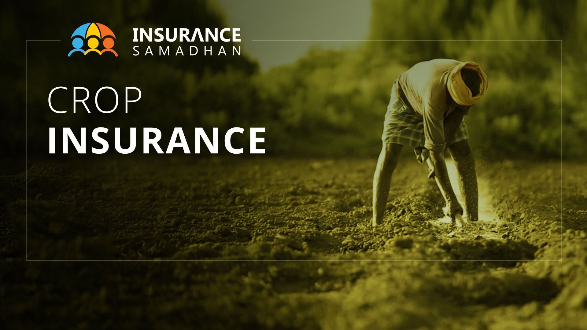 Crop Insurance Pradhan Mantri Fasal Bima Yojana (PMFBY) Details & Benefits