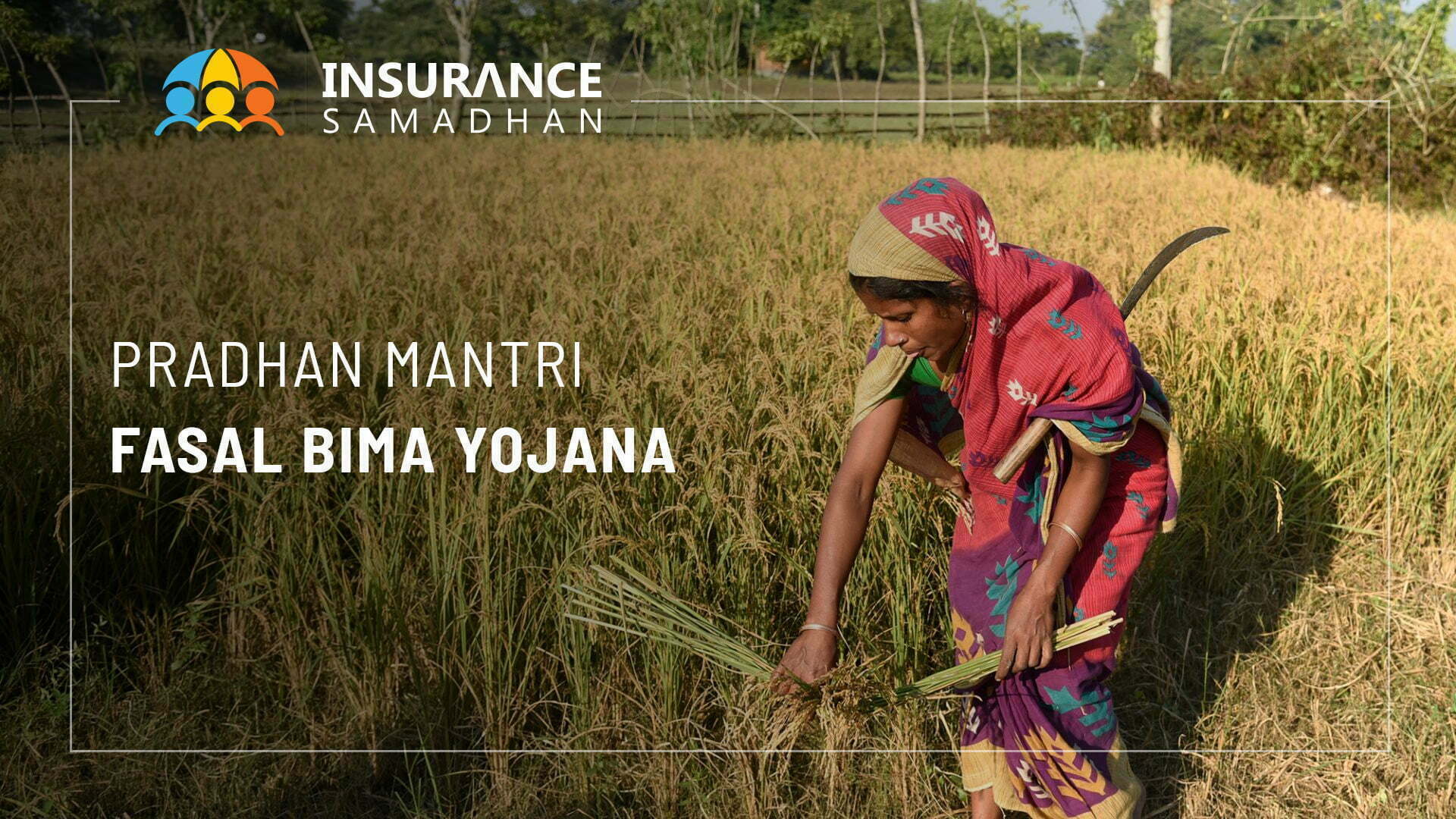 Pradhan Mantri Fasal Bima Yojana: How to Apply?
