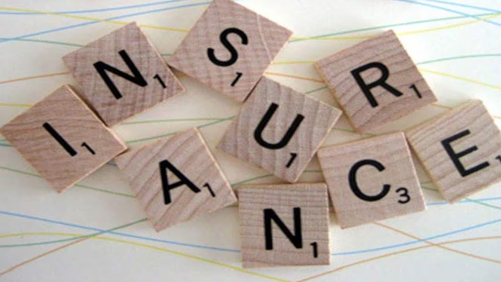 Insurance Samadhan Mint Coverage